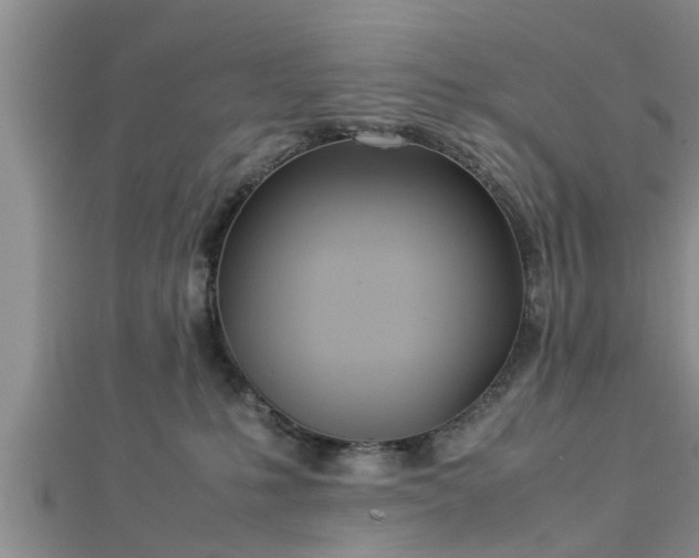 X0000112870231200908281631