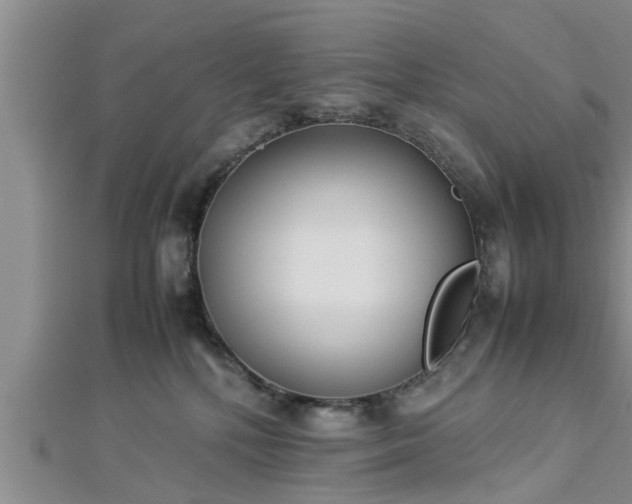 X0000112870232200908281631