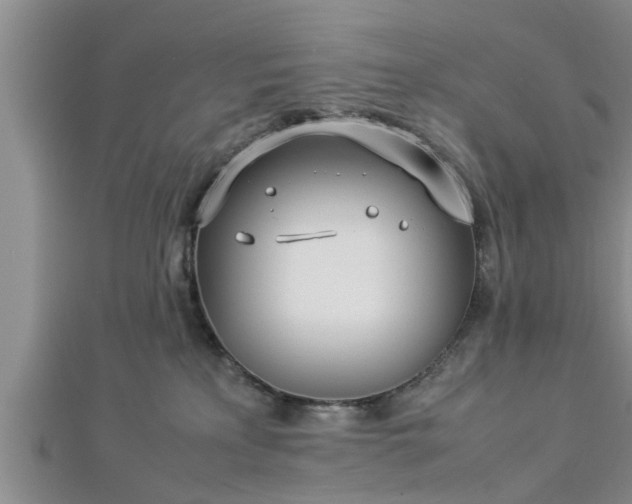 X0000112870233200908281631