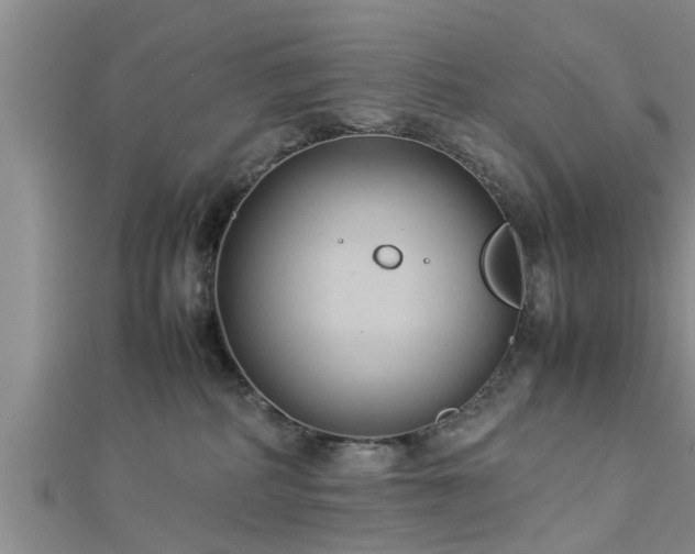 X0000112870234200908281631