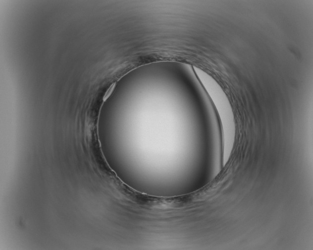 X0000112870235200908281631