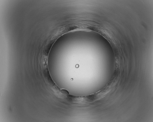 X0000112870237200908281631