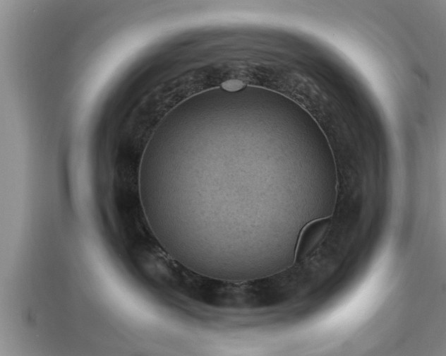 X0000112870239200908281631