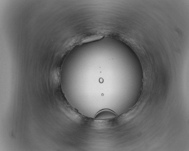 X0000112870240200908281631