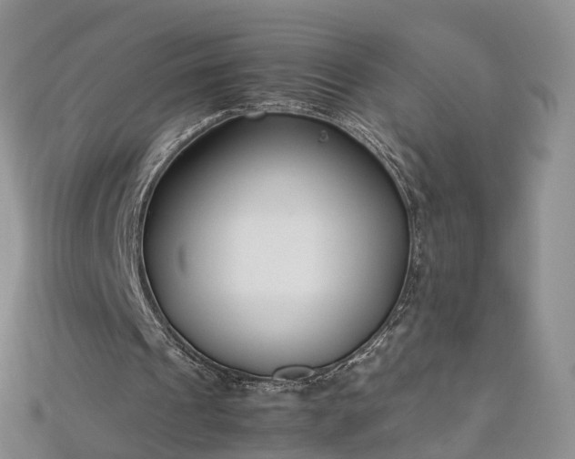 X0000112870241200908281631