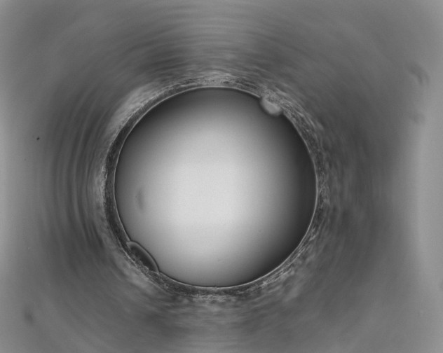 X0000112870242200908281631