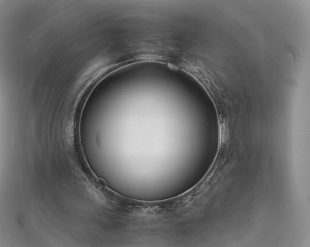 X0000112870243200908281631