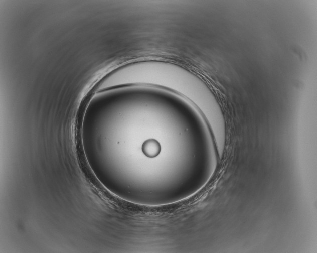 X0000112870244200908281631