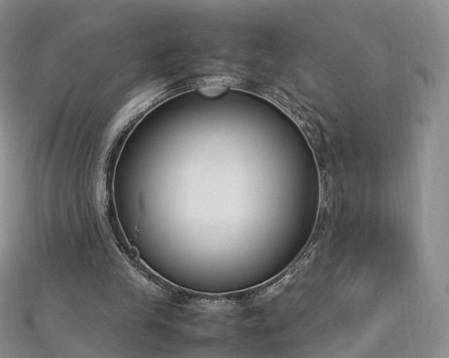 X0000112870245200908281631