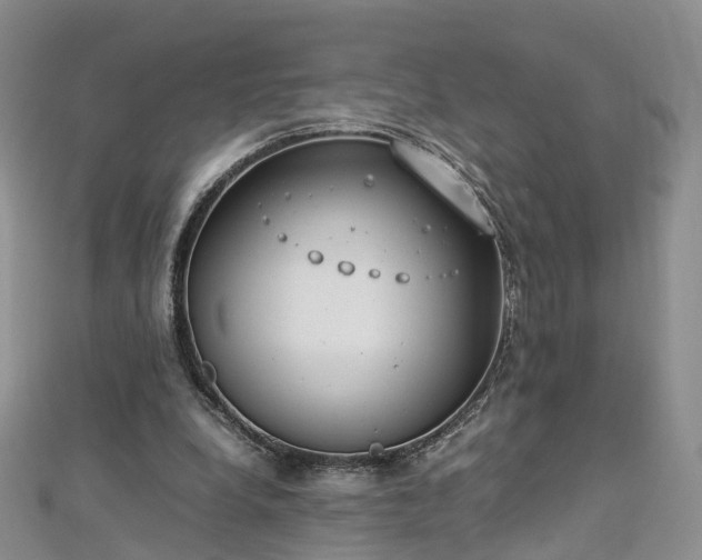 X0000112870248200908281631