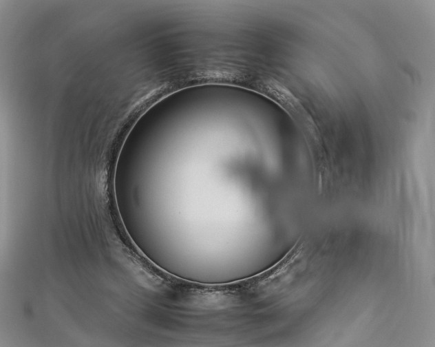 X0000112870249200908281631