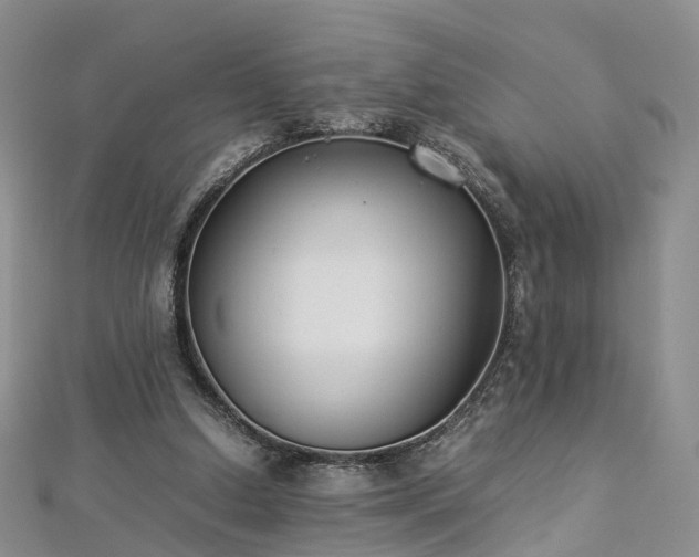 X0000112870250200908281631