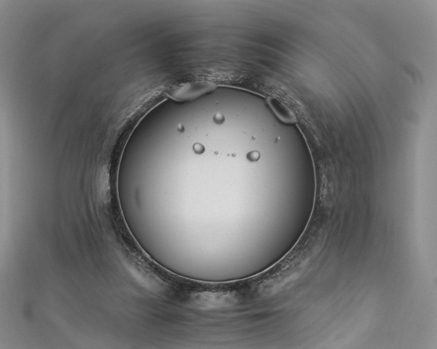 X0000112870251200908281631