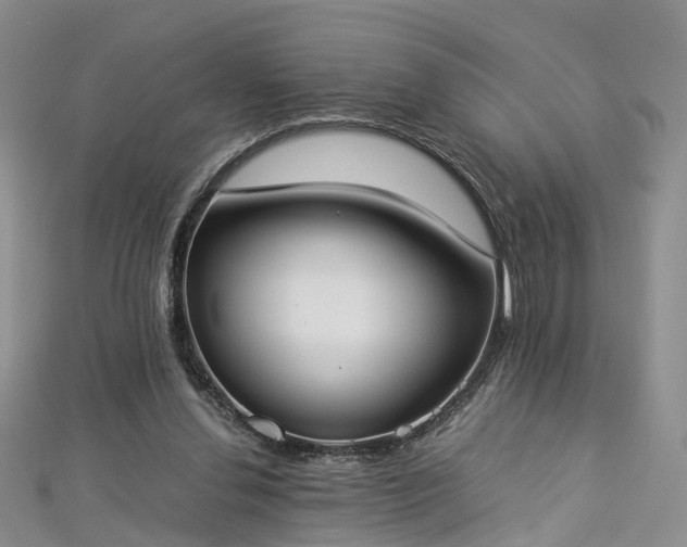 X0000112870252200908281631