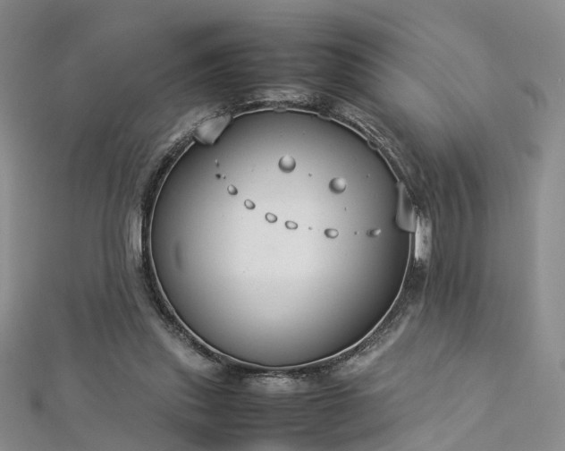 X0000112870253200908281631