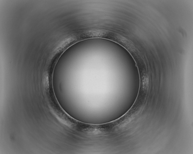 X0000112870254200908281631