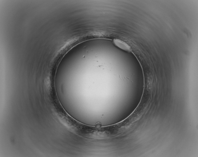 X0000112870256200908281631