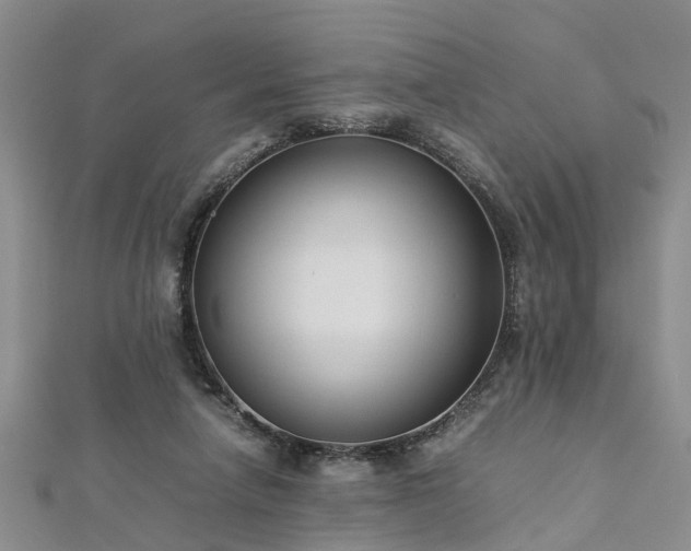 X0000112870258200908281631