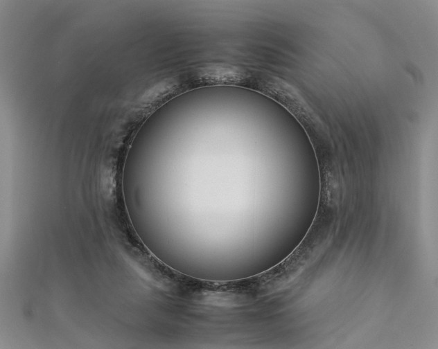 X0000112870259200908281631