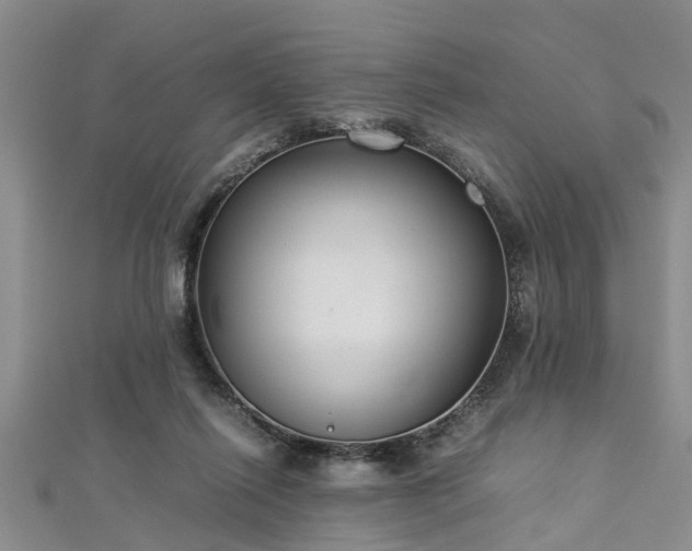 X0000112870262200908281631