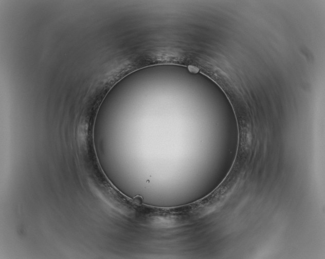 X0000112870263200908281631