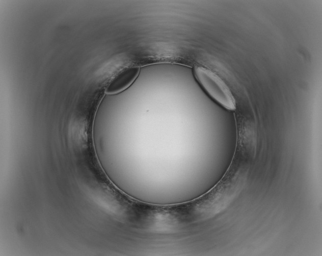 X0000112870264200908281631