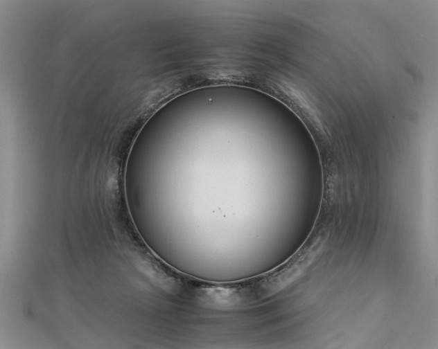 X0000112870265200908281631