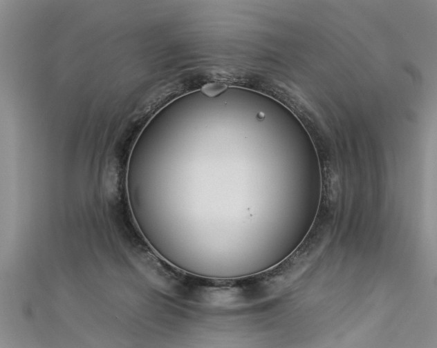 X0000112870266200908281631