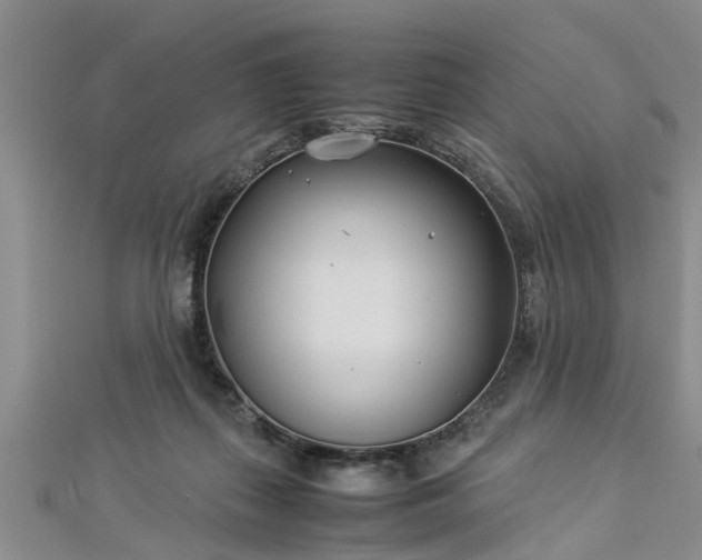 X0000112870267200908281631