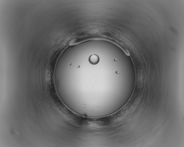 X0000112870268200908281631