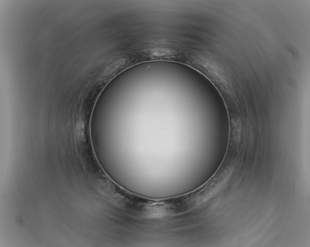 X0000112870269200908281631