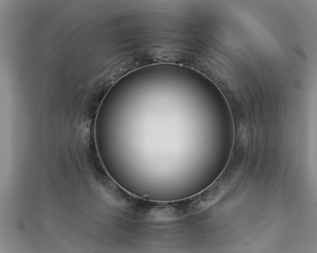 X0000112870271200908281631