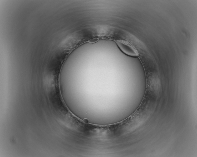 X0000112870272200908281631