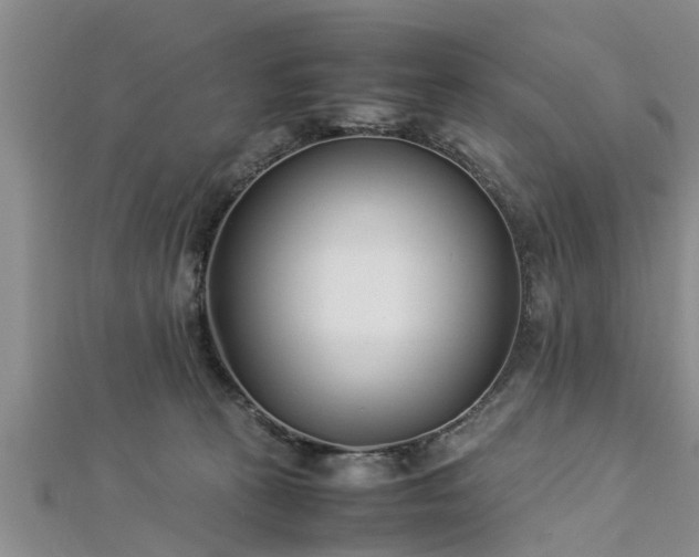 X0000112870273200908281631