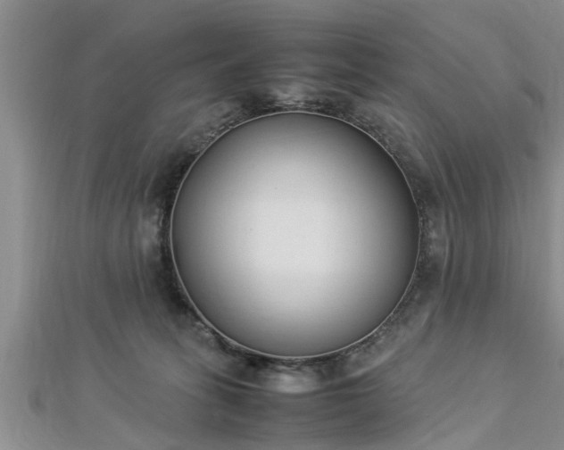 X0000112870275200908281631