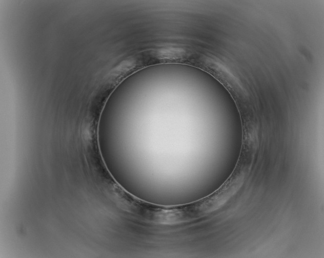 X0000112870277200908281631