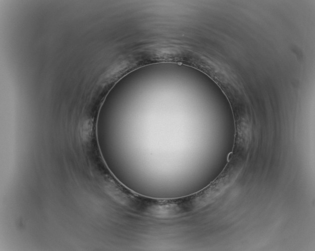 X0000112870278200908281631