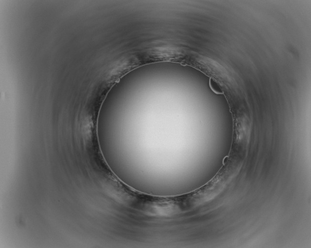 X0000112870279200908281631