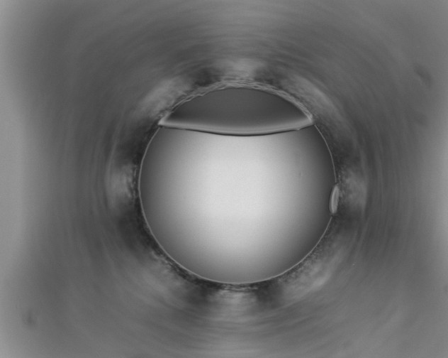 X0000112870280200908281631