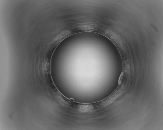 X0000112870281200908281631