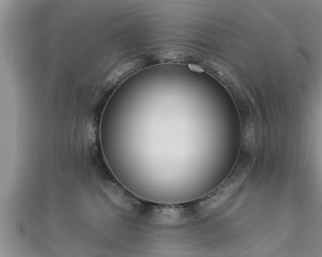 X0000112870282200908281631