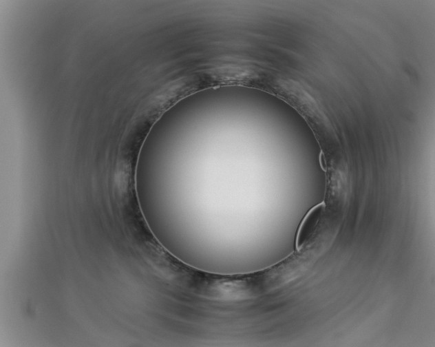 X0000112870283200908281631