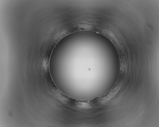 X0000112870285200908281631