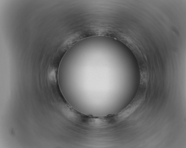 X0000112870286200908281631