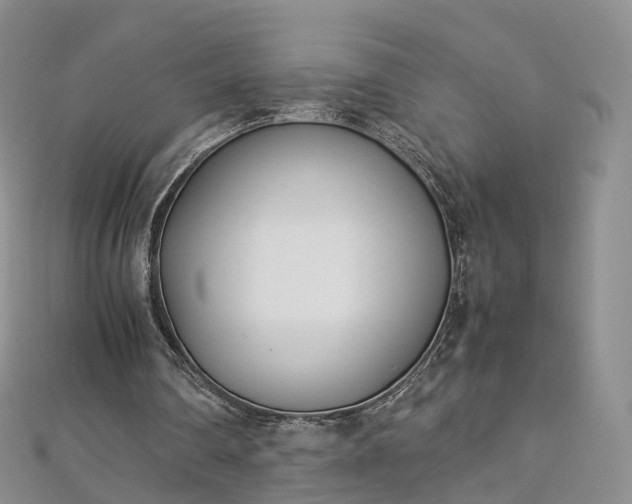 X0000112870290200908281631