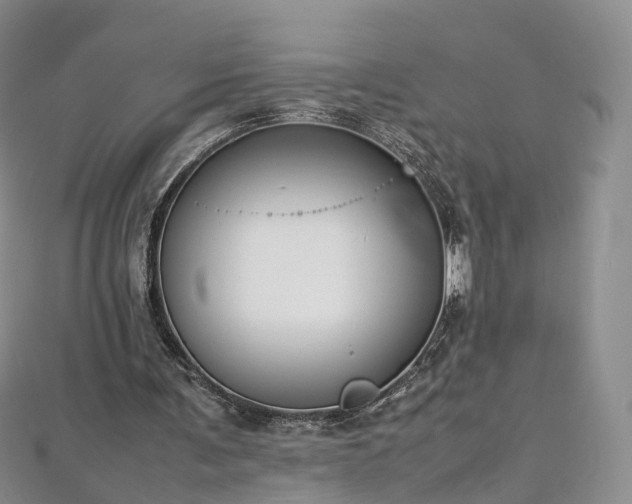 X0000112870291200908281631