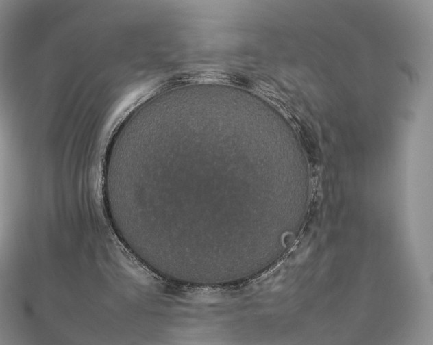 X0000112870293200908281631