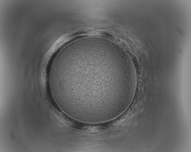 X0000112870295200908281630