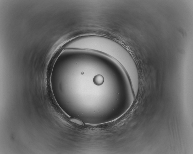 X0000112870296200908281630