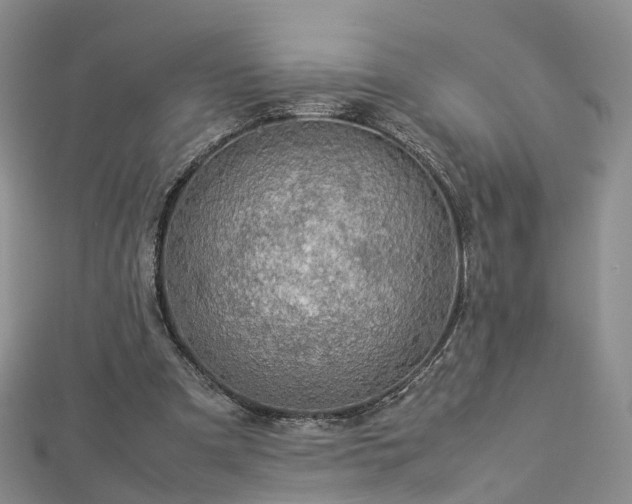 X0000112870297200908281630